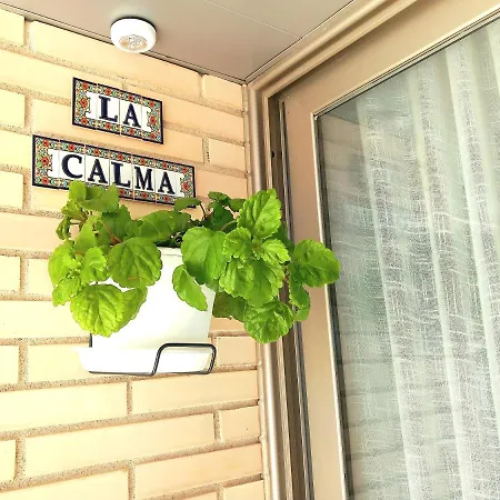 Apartman 1ª Linea De Playa. Apartamento: La Calma Comarruga
