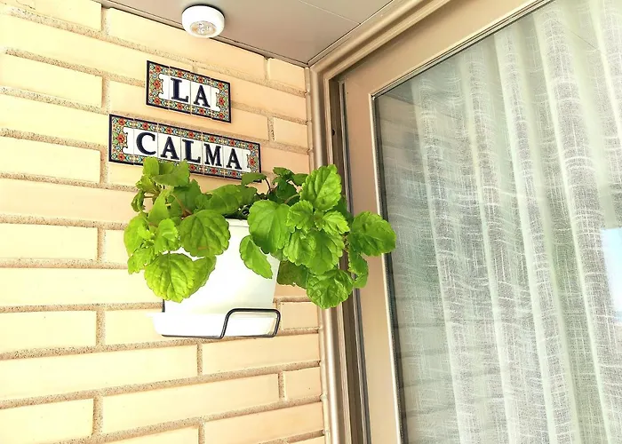 Lägenhet 1ª Linea De Playa. Apartamento: La Calma Coma-ruga